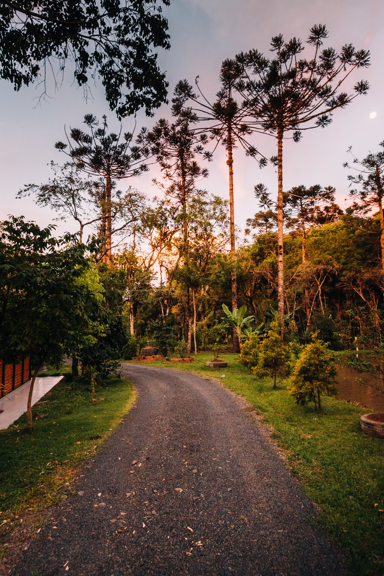 Caminhada em meio à natureza na pousada