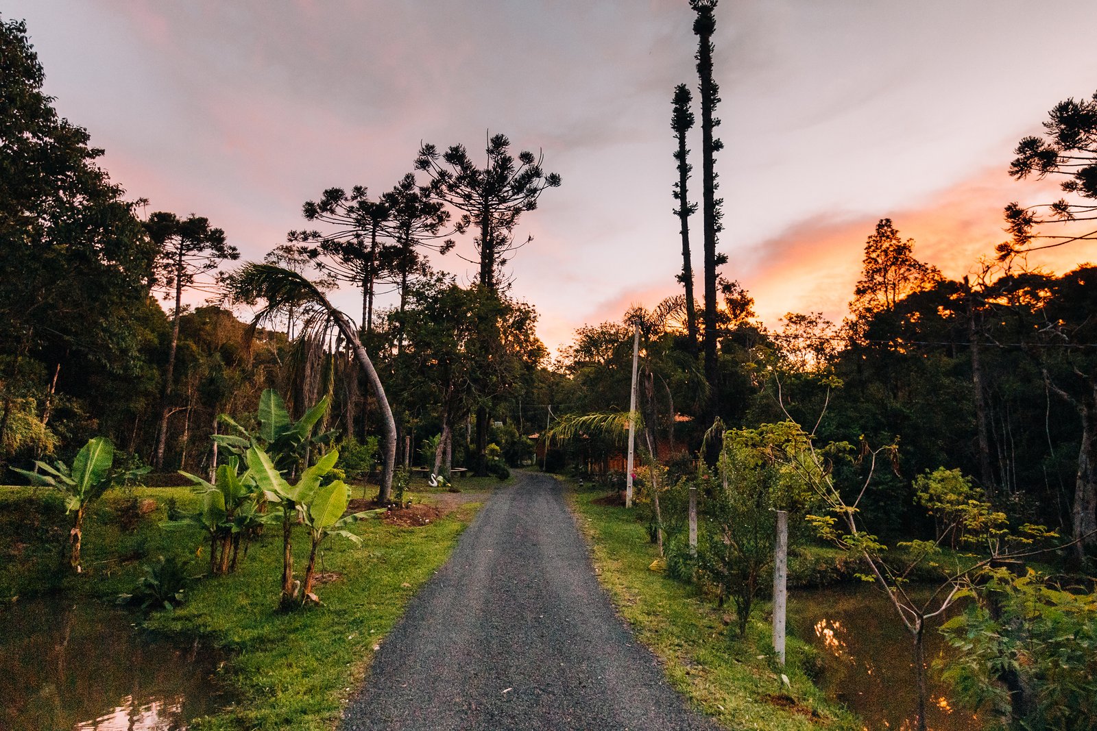 Caminho para caminhar na propriedade