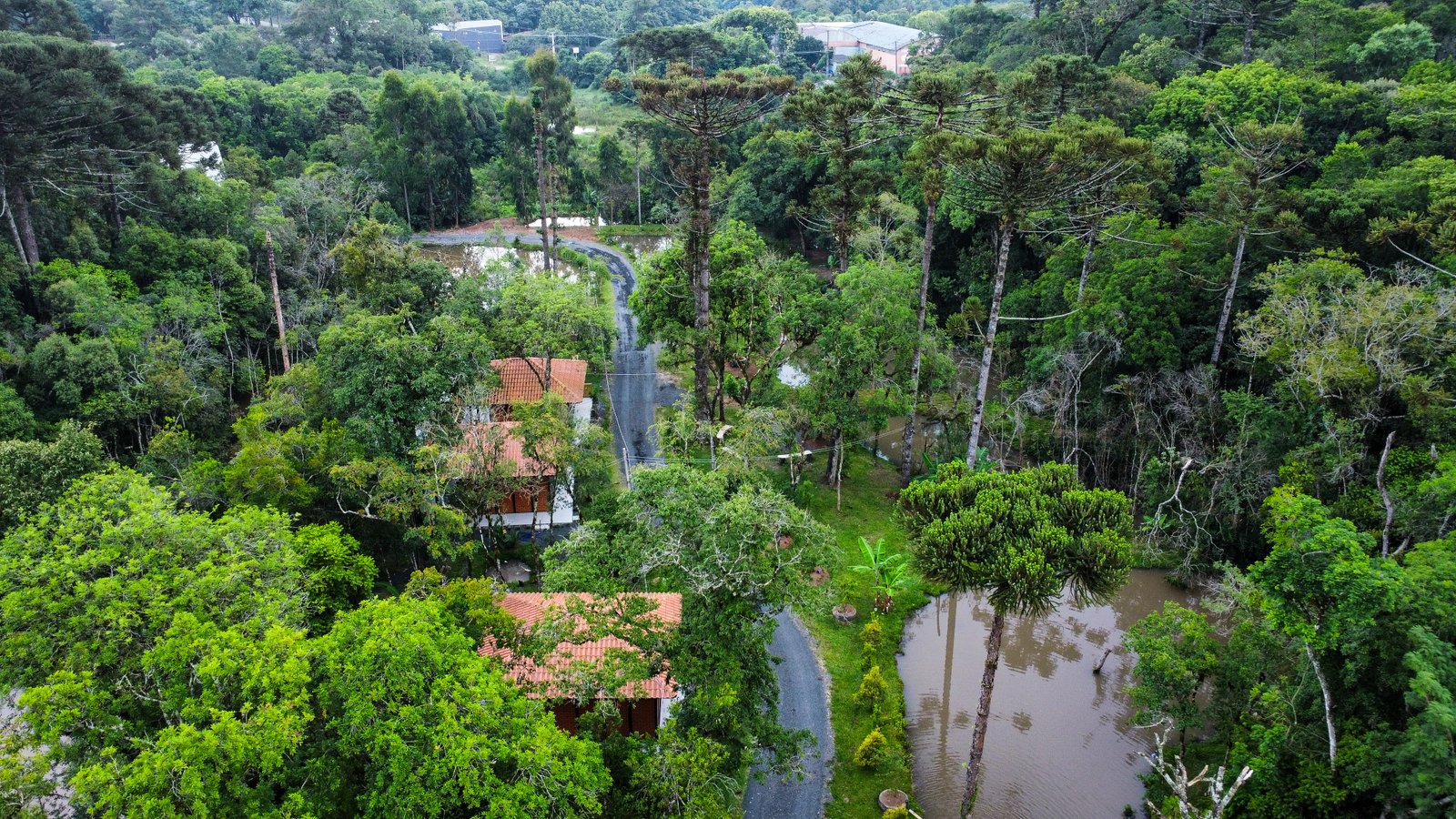 Suíte da FOX Pousada das Águas cercada por árvores e jardim
